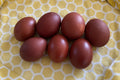 Black Copper Marans
