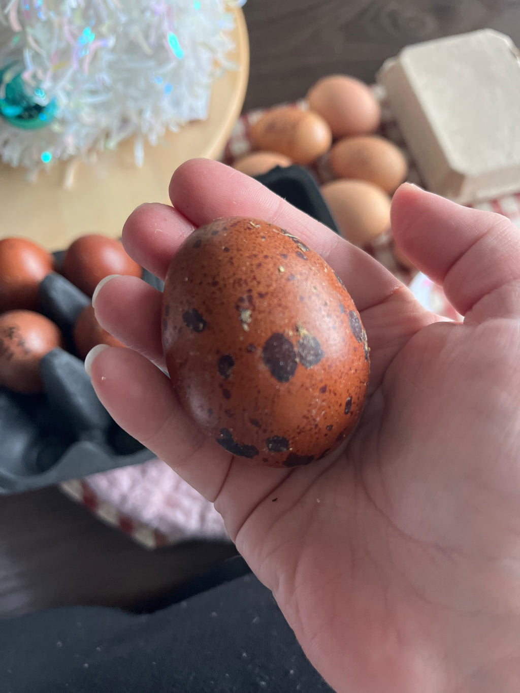 Hatching Egg Pre-Orders – Late Fall / Early Winter 2026