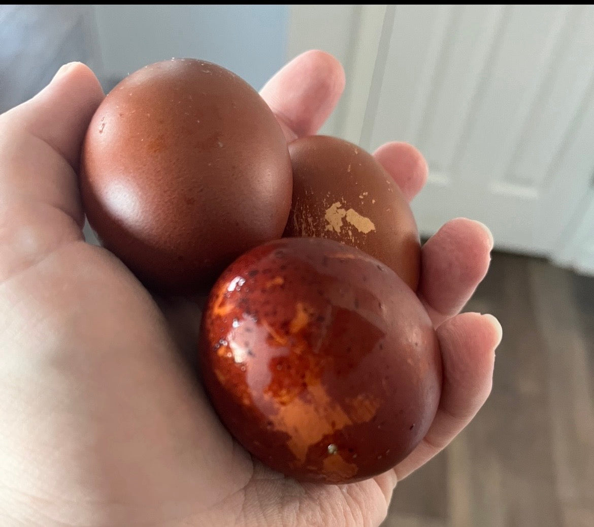 Black Copper Marans
