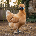 Silkie Fun Pen